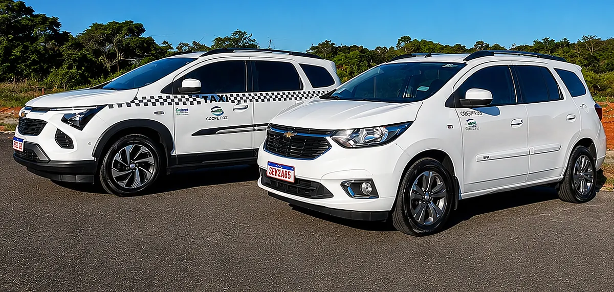 Carros da frota prontos para transfer